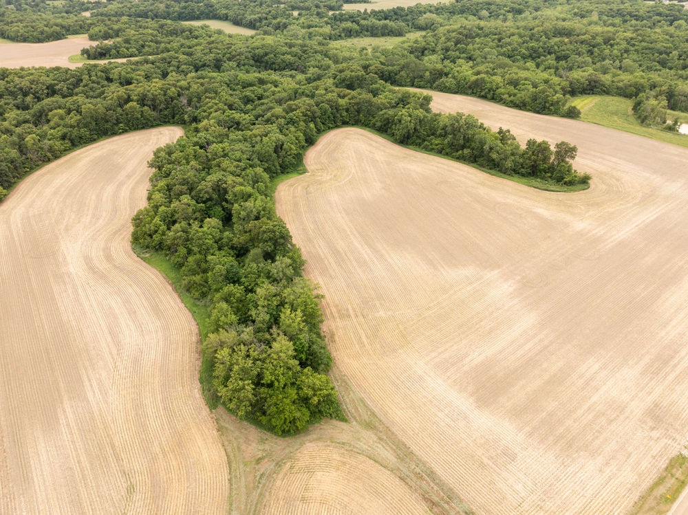 Land