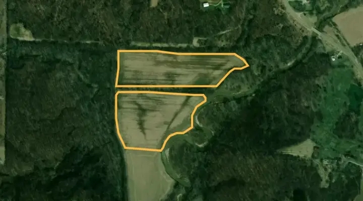 Land